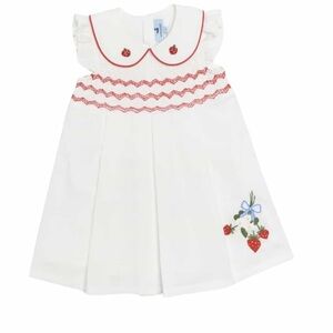 Strawberry Embroidered Dress
